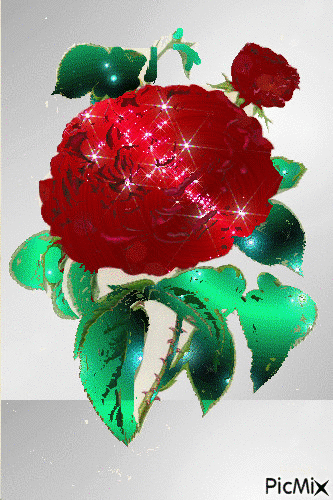 Алая роза - Безплатен анимиран GIF
