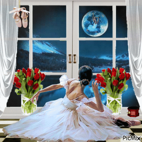 La ballerine et la lune - GIF animado grátis