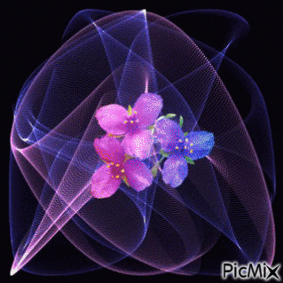 flores animadas - Gratis animerad GIF