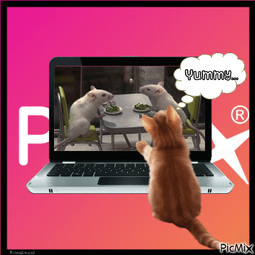 Katze am Computer - Gratis animerad GIF