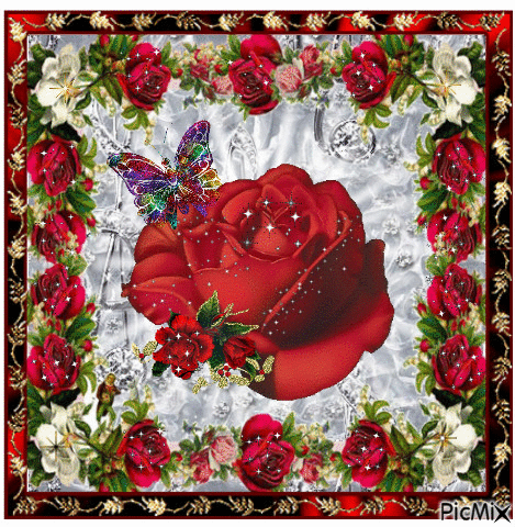 Red rose on silver fond. - Бесплатни анимирани ГИФ