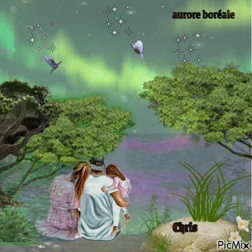 aurore boréale - Бесплатный анимированный гифка