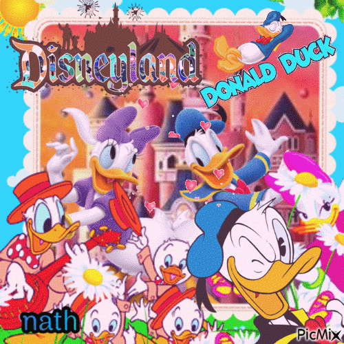 Donald Duck,concours - GIF animé gratuit