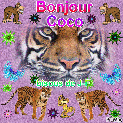 bonjour coco - GIF เคลื่อนไหวฟรี