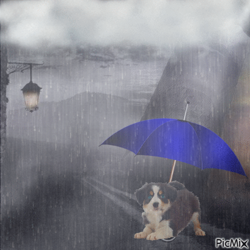 Rain Puppy - Zdarma animovaný GIF