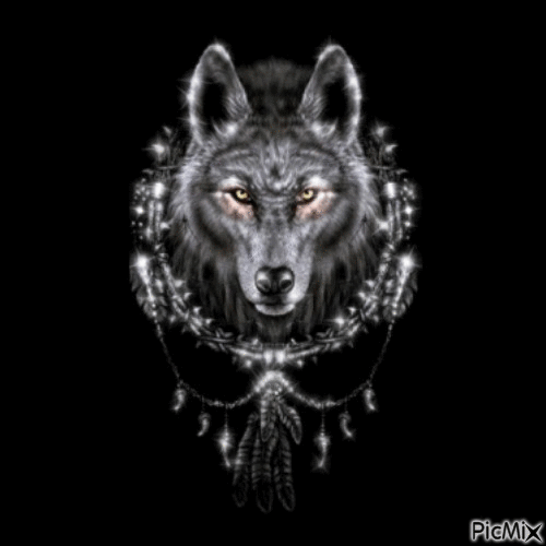 la beauté du loup - Besplatni animirani GIF