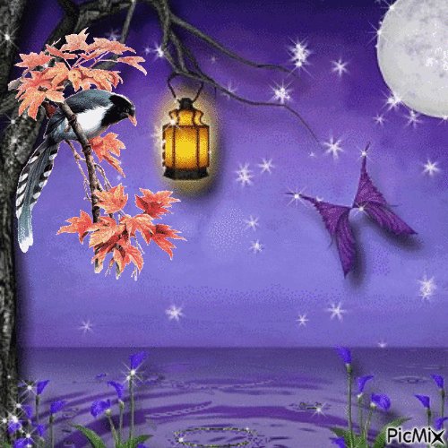 mer violete - Bezmaksas animēts GIF