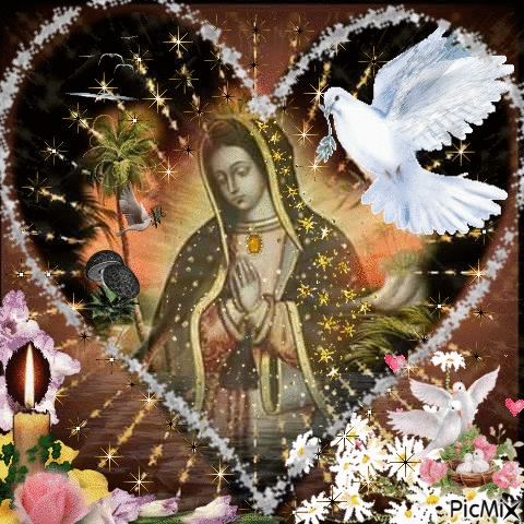 VIRGEN DE GUADALUPE - Free animated GIF