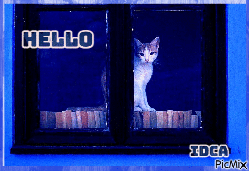 Hello les chatons - Бесплатный анимированный гифка