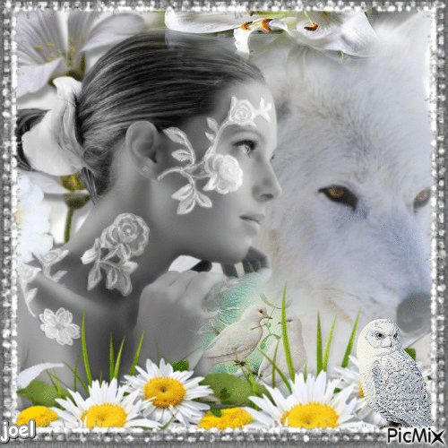 la belle et le loup blanc - Gratis geanimeerde GIF