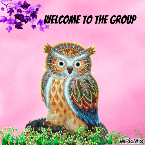 Welcome owl - GIF animé gratuit