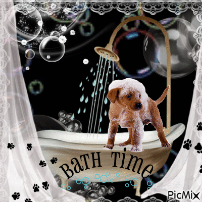 bath time - GIF animé gratuit