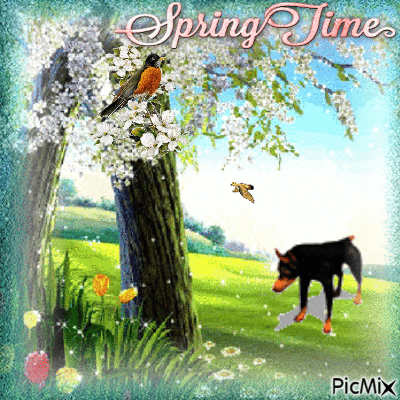 spring time dog and bird - GIF animé gratuit