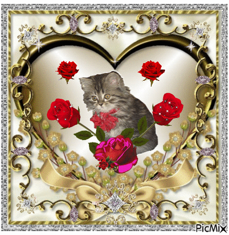 Cat behind roses - Gratis geanimeerde GIF