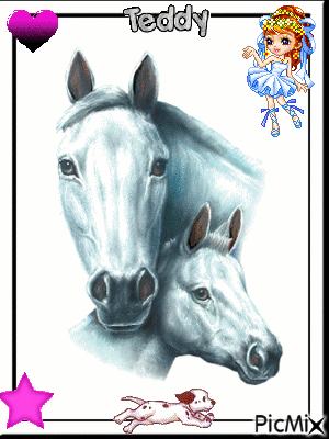 chevaux - Бесплатный анимированный гифка