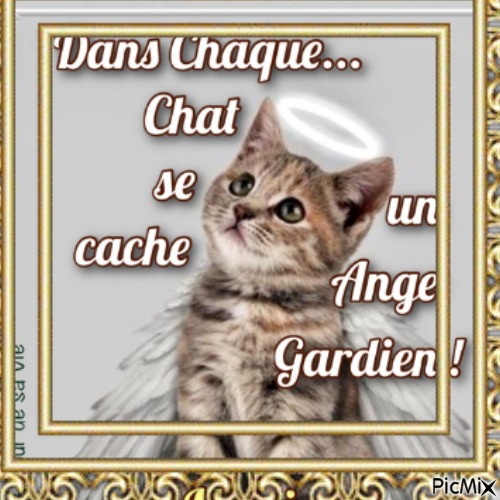 Chat Ange - png gratuito