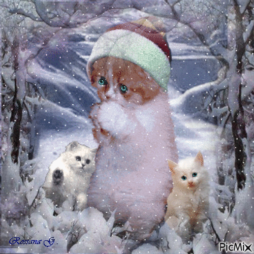 Cats " brrrrrrrrrrrrrr quel froid  ..." - Бесплатный анимированный гифка