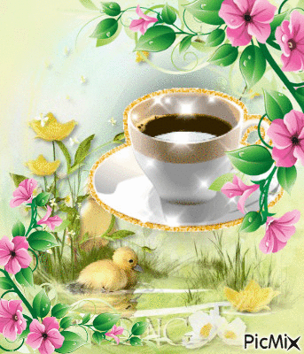 spring coffee - Ingyenes animált GIF