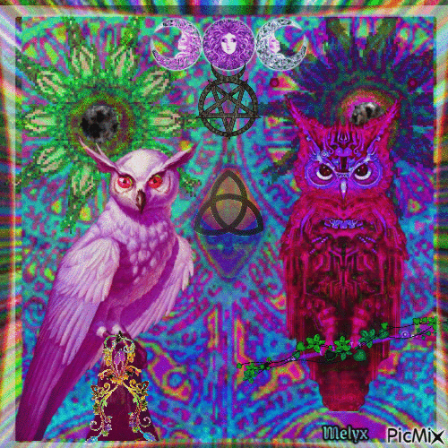 kaleidoscopic owls - Безплатен анимиран GIF