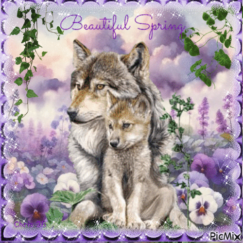 CONTEST 🌼🐺 Wolf in Spring🐺🌼 - GIF animate gratis