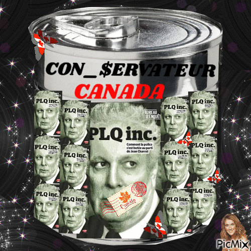 LA  BOÎTE  DES  CON/SERVATEUR  +  U.S.A. / CANADA !! - Ingyenes animált GIF