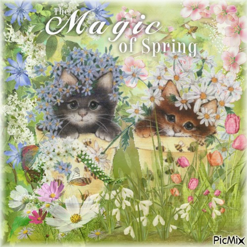 Spring Kitten - png grátis