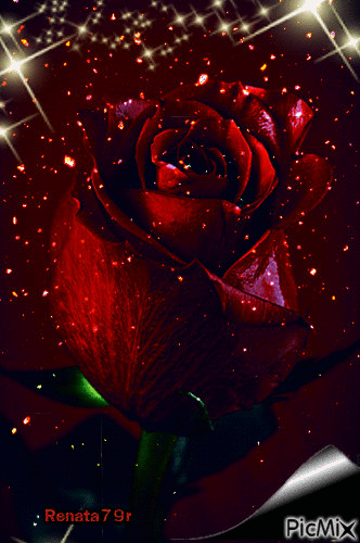 Róża - Bezmaksas animēts GIF