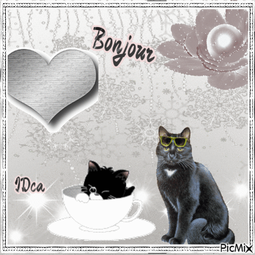 Bonjour les chatons - Бесплатный анимированный гифка