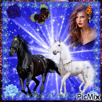BLACK END WHITE HORSES END DE WOMAN - Безплатен анимиран GIF