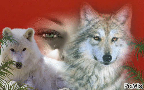 wolf girl - Bezmaksas animēts GIF