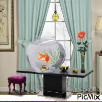 salon aquarium - Free animated GIF