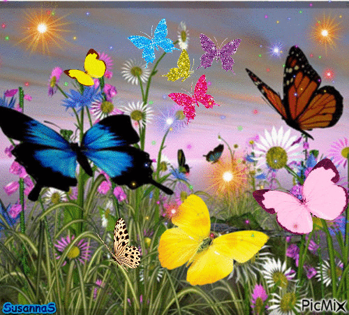 Butterflies - GIF animado gratis