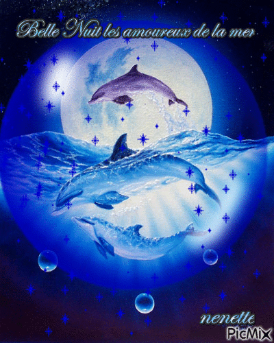 belle nuit les amoureux de la mer - Nemokamas animacinis gif