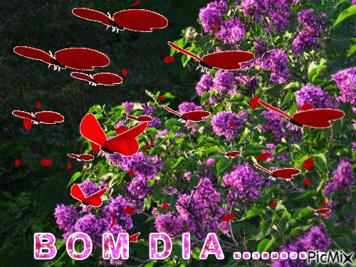 BORBOLETAS - Бесплатный анимированный гифка