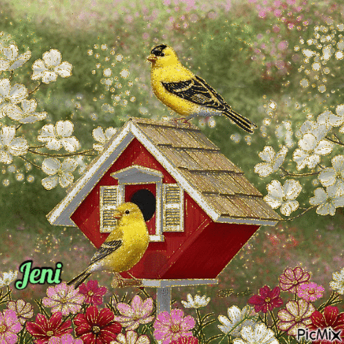Red bird house - Free animated GIF
