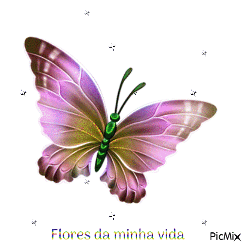 Flores da minha vida - Gratis geanimeerde GIF