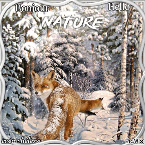 Animaux dans la nature l'hiver - Бесплатный анимированный гифка