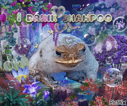 bubble frog
