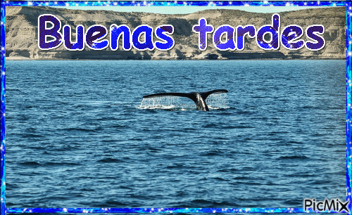 Puerto Madryn-Chubut-Argentina - GIF animé gratuit