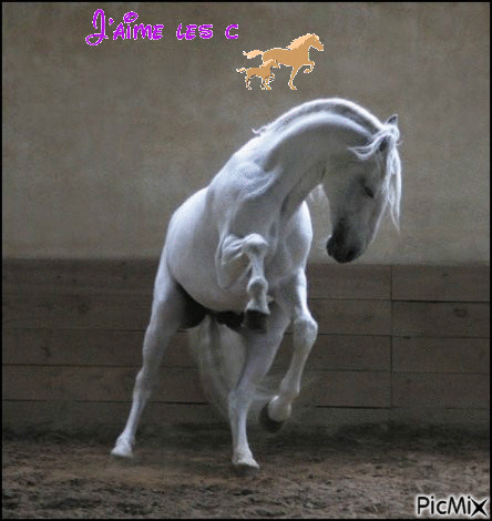 i love les chevaux - Δωρεάν κινούμενο GIF