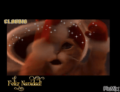 gato claudio - Darmowy animowany GIF
