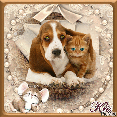 chat et chien 🌹🌼 - Free animated GIF
