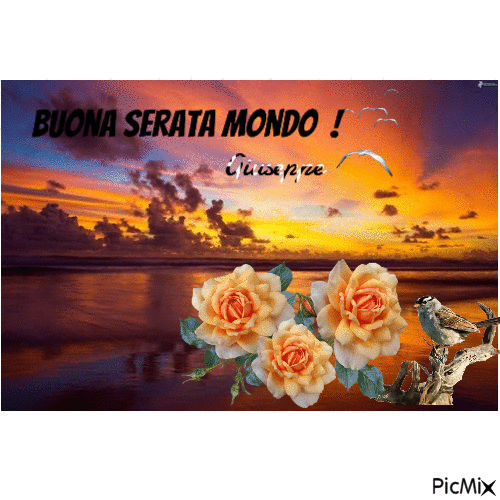 Buona sera - Δωρεάν κινούμενο GIF