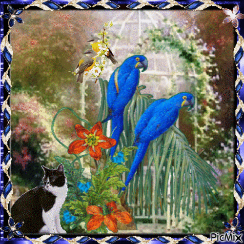 les perroquets - Безплатен анимиран GIF