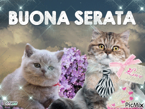 BUONA SERATA - 無料のアニメーション GIF