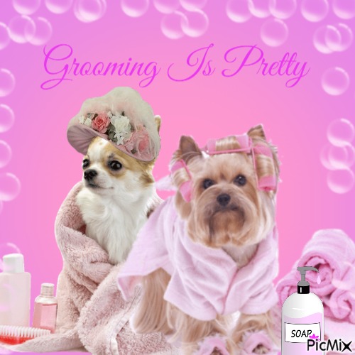 Dog Grooming - gratis png
