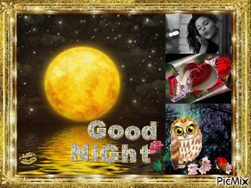 good night1 - Δωρεάν κινούμενο GIF