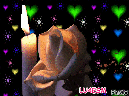 rosa romantica - GIF animé gratuit