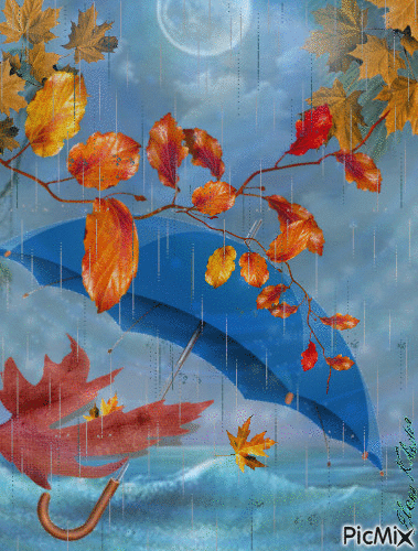 Pluie d'automne dans la mer - GIF animado grátis