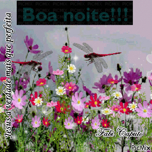 Boa Noite 18/04/2017 - 免费动画 GIF